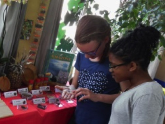 Tropische producten bekijken, ruiken en proeven