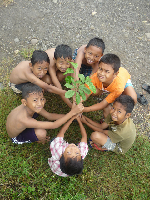 Klengkeng aanplanten